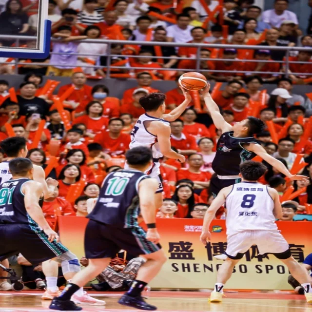 欧洲杯球队赛前训练动态与焦点观察